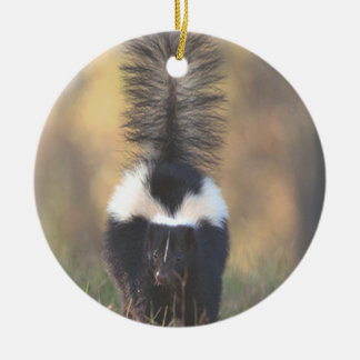Skunk Ornament