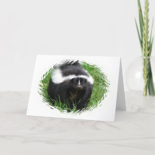 Skunk Photo Greeting Card