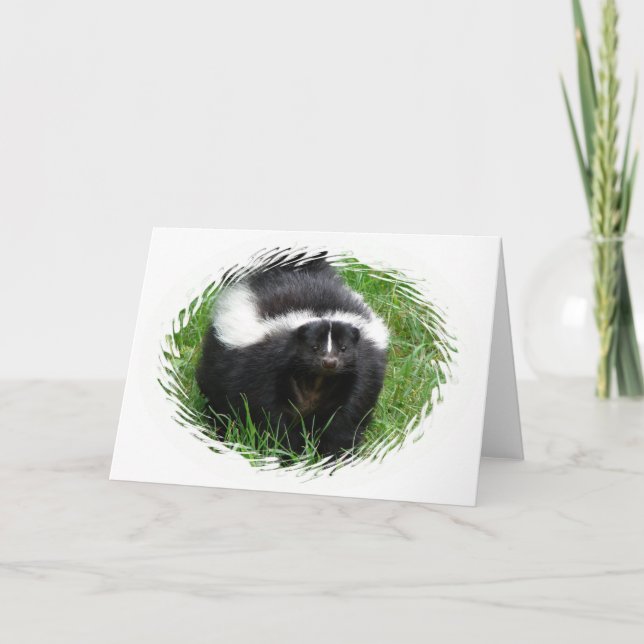 Skunk Photo Greeting Card (Front)