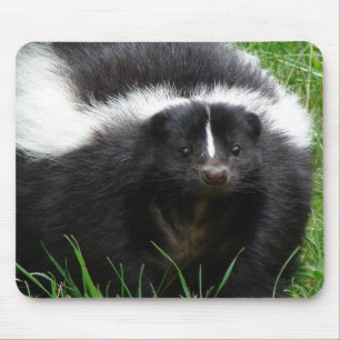 Skunk Photo Mouse Pad