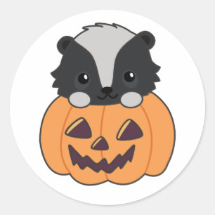 Skunk Pumpkin Cute Skunks Happy Halloween Classic  Classic Round Sticker