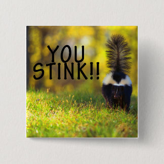 Skunk You Stink 2 Inch Square Button
