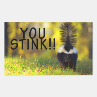 Skunk You Stink Sticker