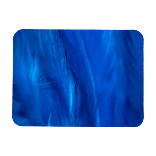 Sky Blue Feathers and Down Magnet (Horizontal)