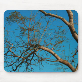 Sky Blue Mousepad