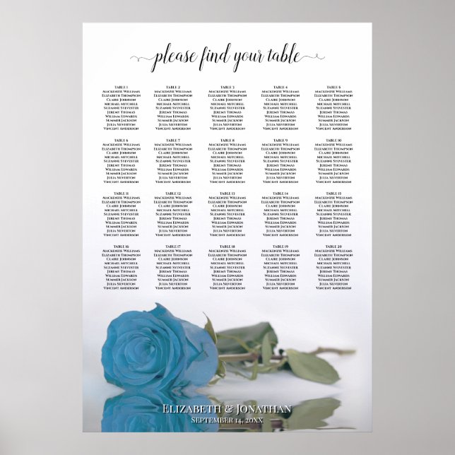 Sky Blue Rose 20 Table Wedding Seating Chart (Front)