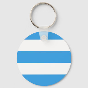 Sky Blue Striped Pattern Keychain