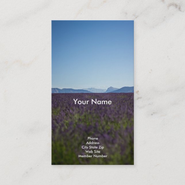 Sky Business Card (Front)