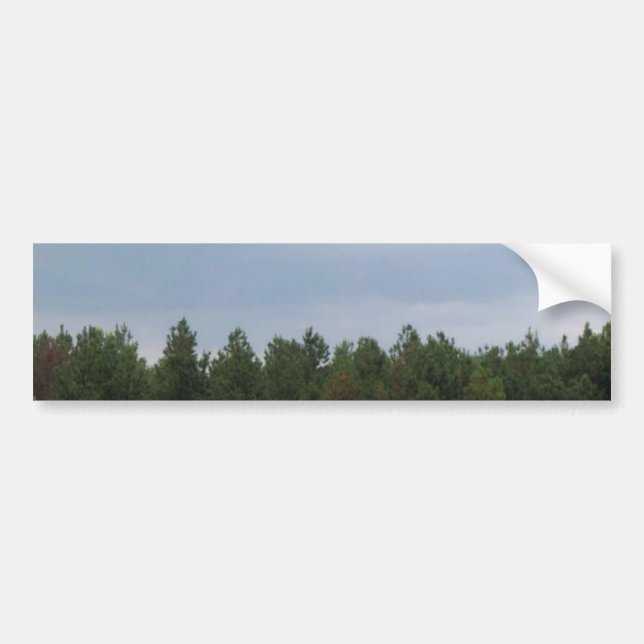 Sky & Clouds Bumper Sticker (Front)