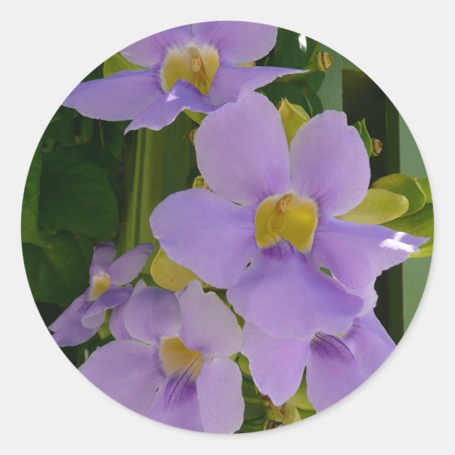 Sky Flower Vine Tropical Purple Floral Classic Round Sticker (Front)