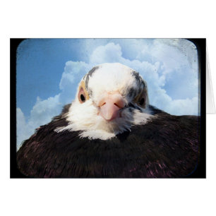 Sky High Pigeon Toutes les occasions Carte de voeu