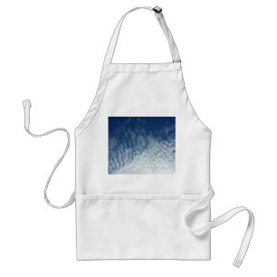Sky in January Standard Apron