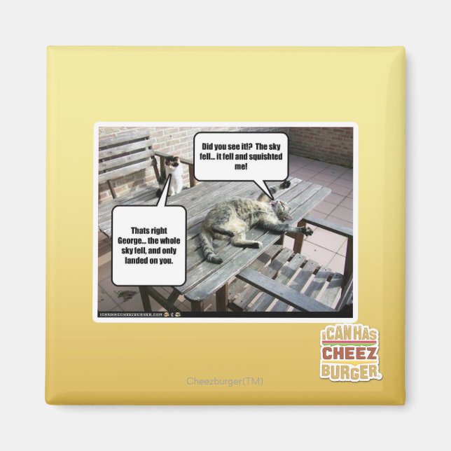 Sky is Falling Magnet (Front)