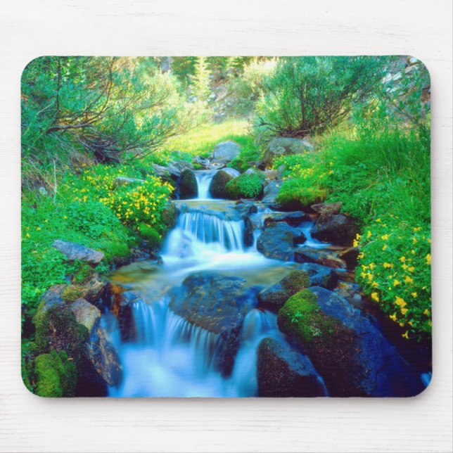 Sky Meadows in the Sierra Nevada Mountains Mouse Pad (Front)