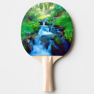 Sky Meadows in the Sierra Nevada Mountains Ping Pong Paddle