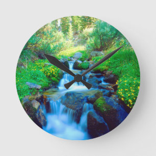 Sky Meadows in the Sierra Nevada Mountains Round Clock