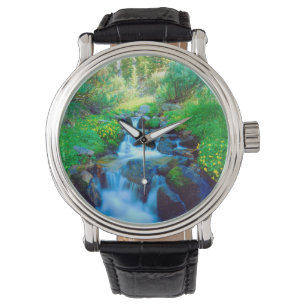 Sky Meadows in the Sierra Nevada Mountains Watch