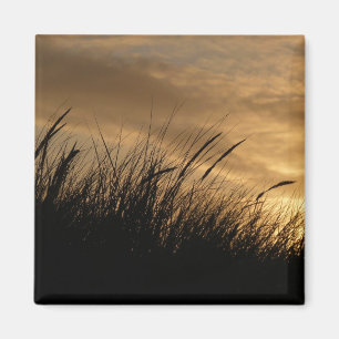 sky of gold magnet