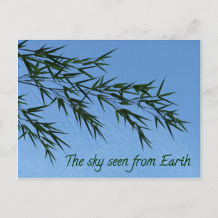 sky seen from earth postcard