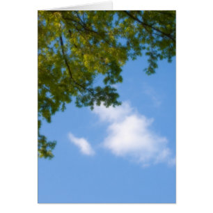 sky view with tree top