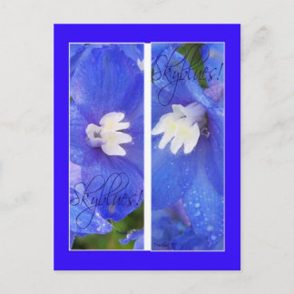 SKYBLUES II BOOKMARKS POSTCARD