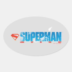 Skybound Superman Silhouette Oval Sticker