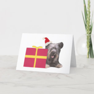 Skye Terrier Santa Hat Holiday Card