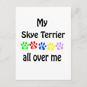 Skye Terrier Walks Design Postcard