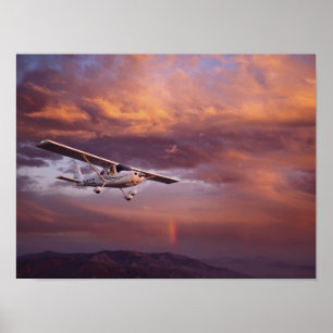 Skyfire Skycatcher Poster