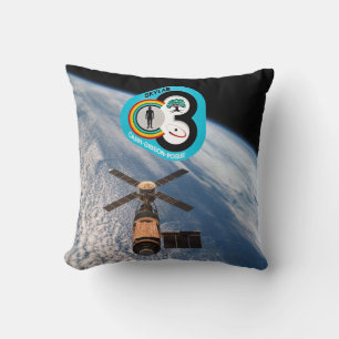 Skylab 3 throw pillow