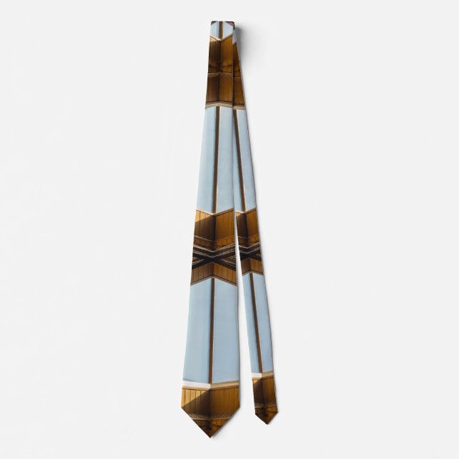 Skylights Above Anthony Neck Tie (Front)