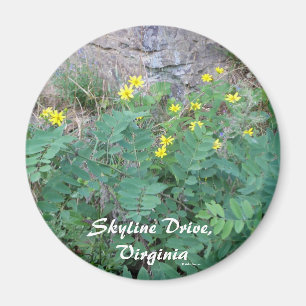 Skyline Drive Magnet