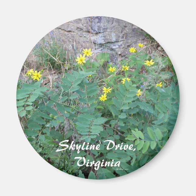 Skyline Drive Magnet (Front)