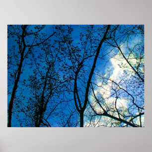 Skyline throught Fall Tree Scapes - Toronto Island Poster