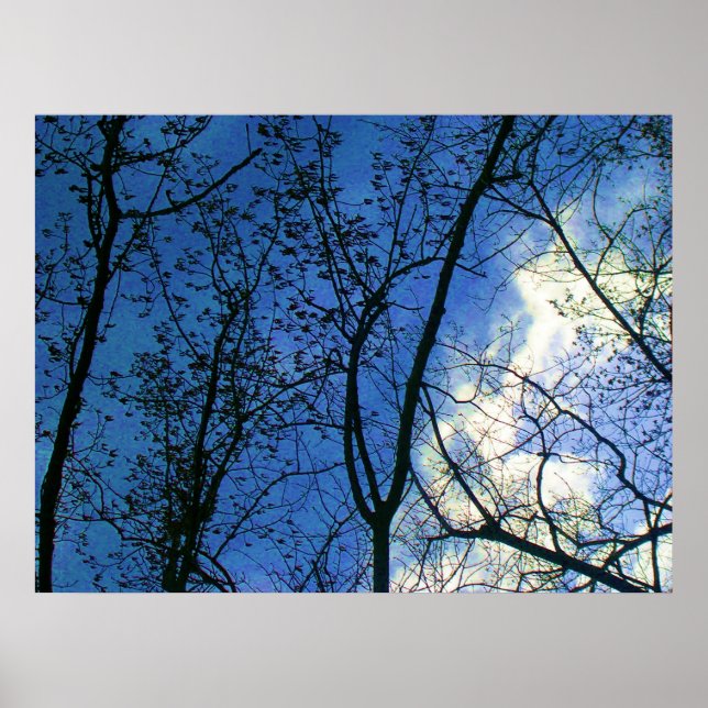 Skyline throught Fall Tree Scapes - Toronto Island Poster (Front)