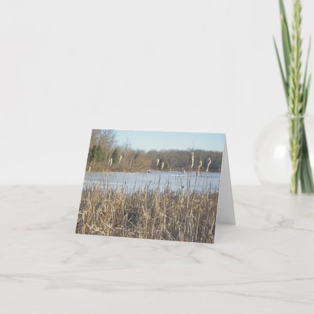 Skymount Pond in Ice Note Card (Front)