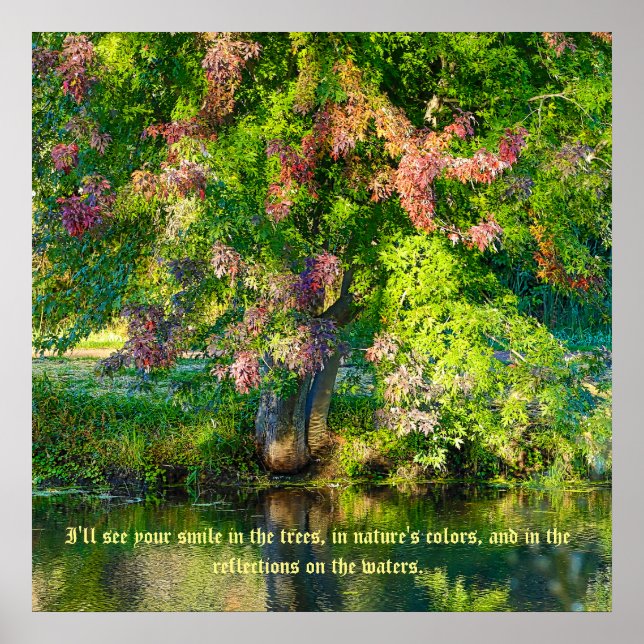 SkyRidge Nature Preserve Poster (Front)