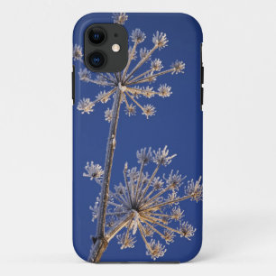 Skyward view of Cow Parsnip in winter covered in iPhone 11 Case