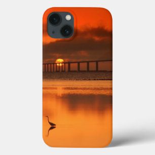 Skyway Bridge iPhone 13 Case