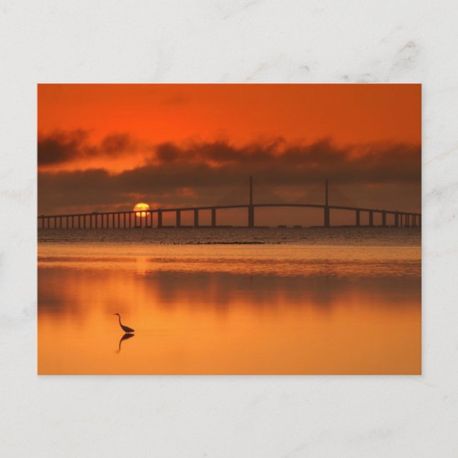 Skyway Bridge Postcard (Front)