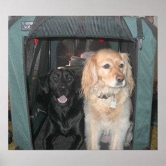 Slate and Sasha Poster