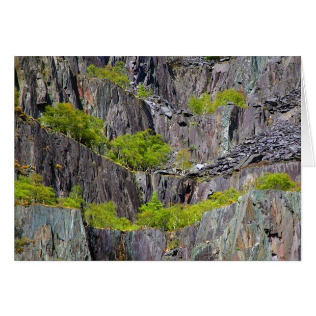 Slate cliff with trees (Front Horizontal)