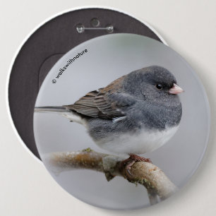 Slate-Coloured Dark-Eyed Junco on the Pear Tree 6 Inch Round Button