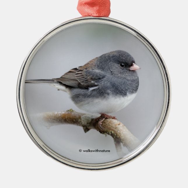 Slate-Coloured Dark-Eyed Junco on the Pear Tree Metal Ornament (Front)