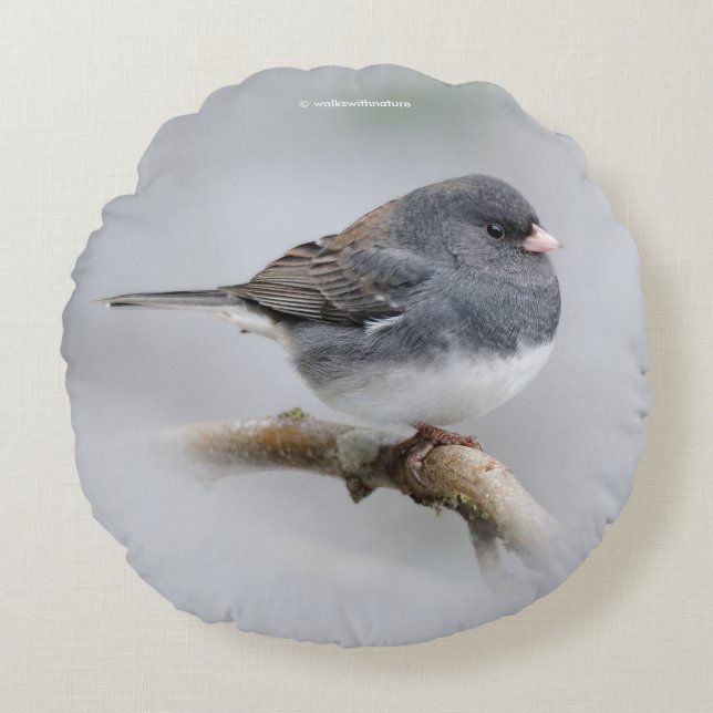 Slate-Coloured Dark-Eyed Junco on the Pear Tree Round Pillow (Front)