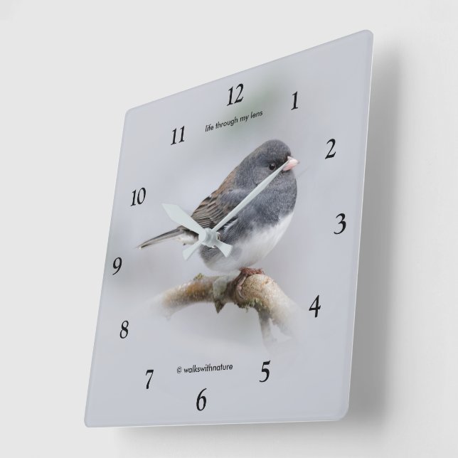 Slate-Coloured Dark-Eyed Junco on the Pear Tree Square Wall Clock (Angle)