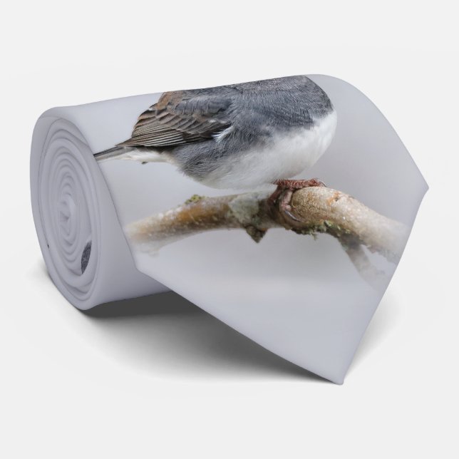 Slate-Coloured Dark-Eyed Junco on the Pear Tree Tie (Rolled)