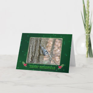 Slate Grey Nuthatch Christmas Songbird Holiday Card