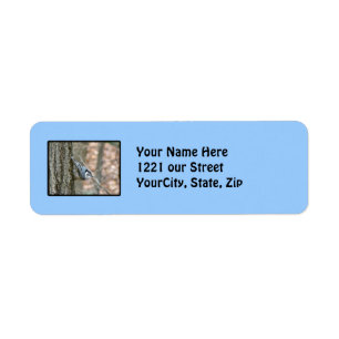 Slate Grey Nuthatch Songbird Address Label
