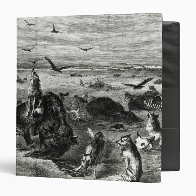 Slaughter of Buffaloes on the Plains Binder (Front/Inside)